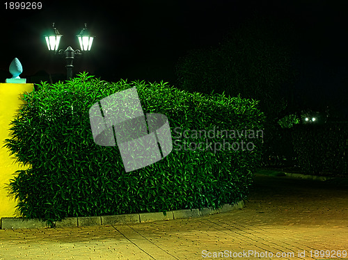 Image of Night picture of the lamp in the park. 