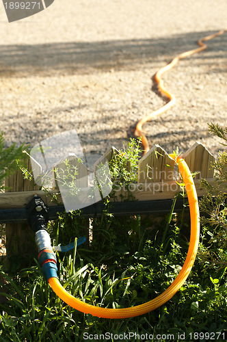 Image of Garden watering hose