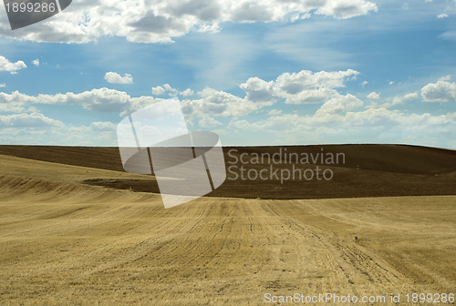 Image of Agricultural land