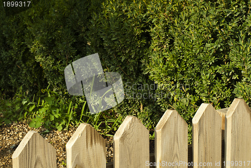Image of Wooden decorative fence and green garden