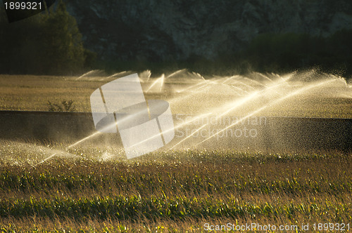 Image of Irrigation systems on sunset