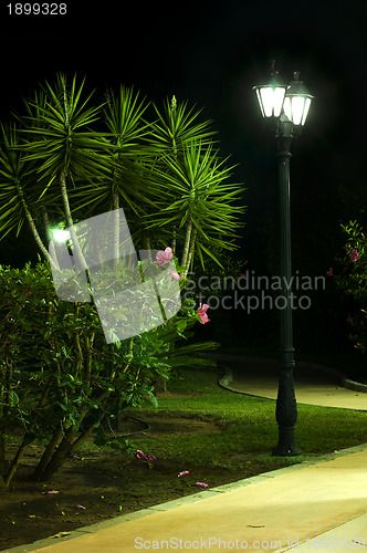 Image of Night picture of the lamp in the park