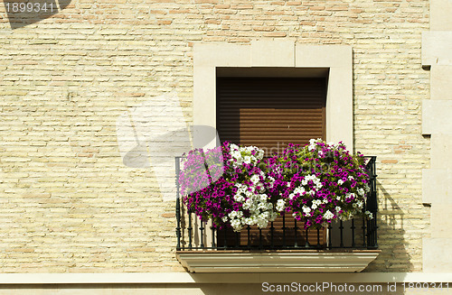 Image of Classic balcony with flowers