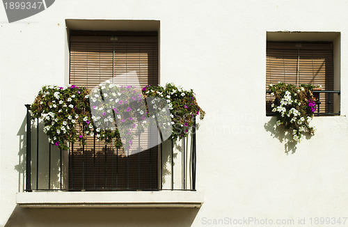 Image of Classic balcony with flowers
