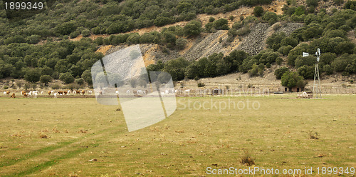 Image of Dairy farm