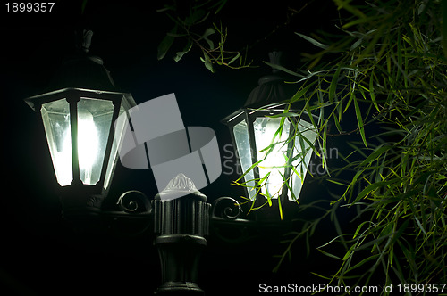 Image of Night picture of the lamp in the park