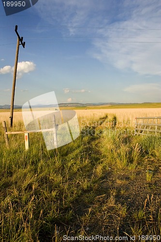 Image of Field in Helena