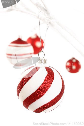 Image of Red and white christmas