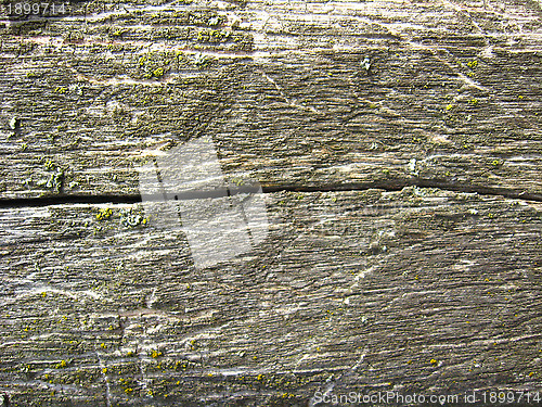 Image of Wooden dark background