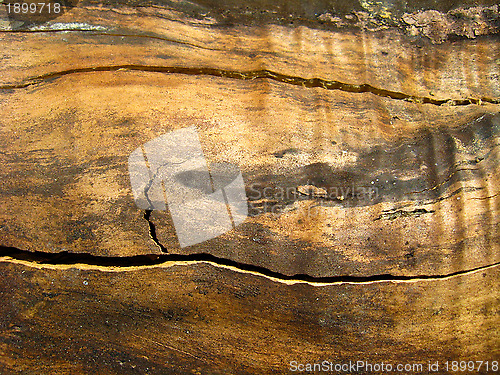 Image of Wooden light background