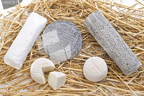 Image of goat cheeses