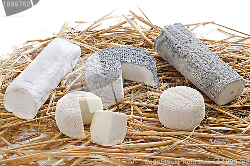 Image of goat cheeses