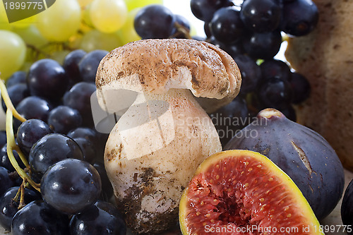 Image of mushroom and fruits