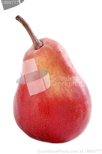 Image of red pear