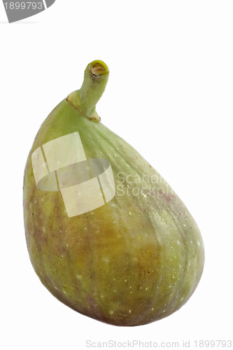 Image of green fig