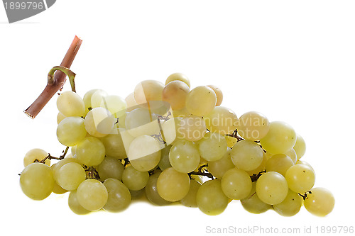 Image of italia grapes