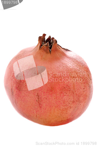 Image of pomegranate