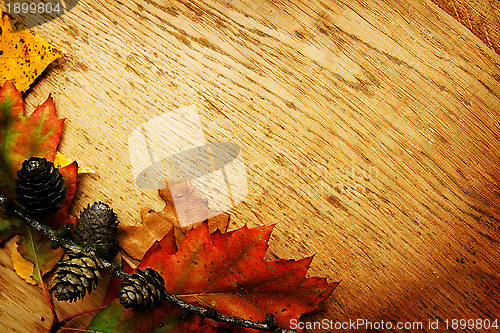 Image of Leaves on a board