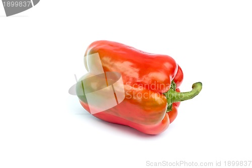 Image of Sweet pepper on white