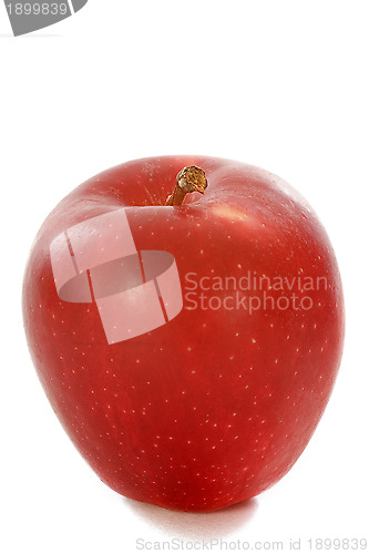 Image of red apple