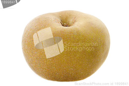 Image of Golden russet apple