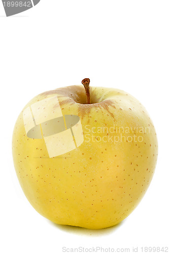 Image of golden apple