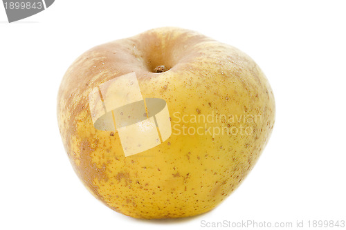 Image of Golden russet apple