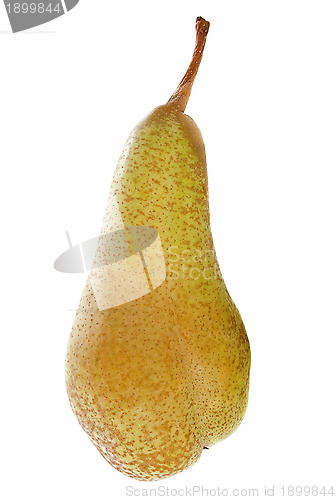 Image of conference pear