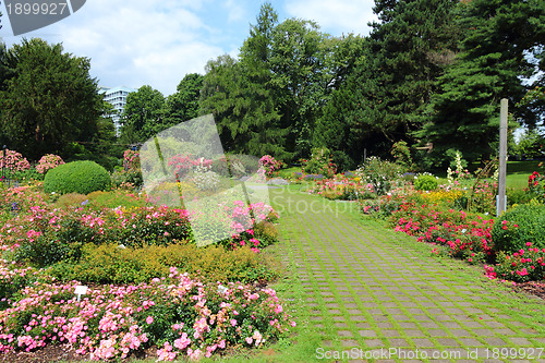 Image of Dortmund park