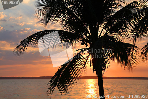 Image of Tropical sunset