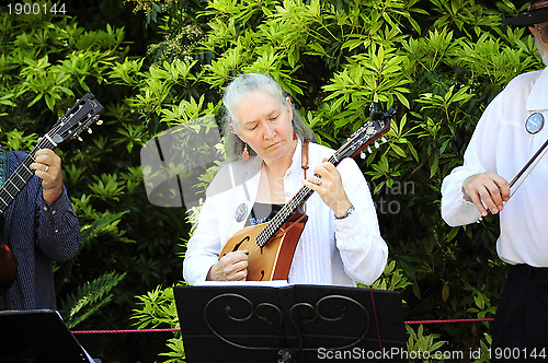 Image of Folklife musicians.