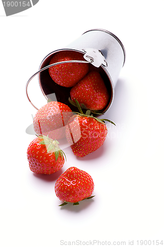 Image of Strawberries Spilled from Bucket