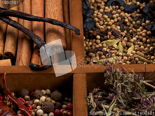 Image of Spices and Herbs