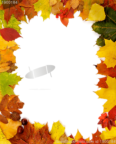 Image of Frame of Autumn Leaves