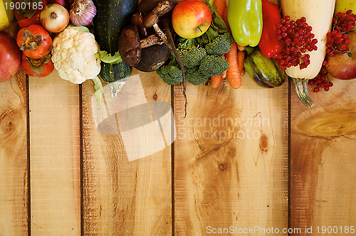 Image of Frame of Fruits and Autumn Yield