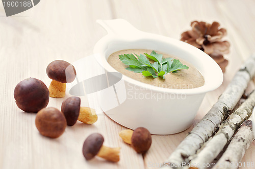 Image of mushroom cream