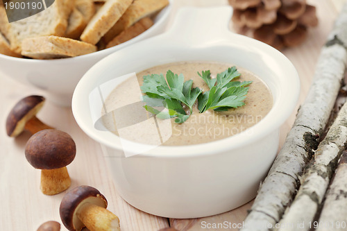 Image of mushroom cream
