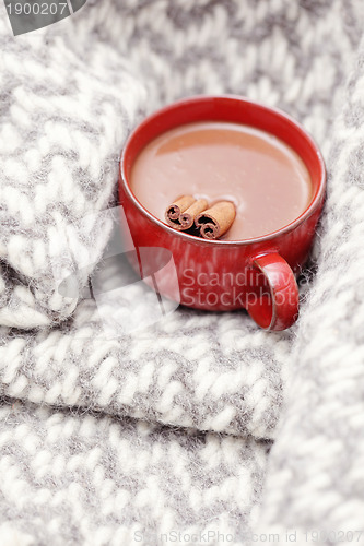 Image of hot chocolate with cinnamon