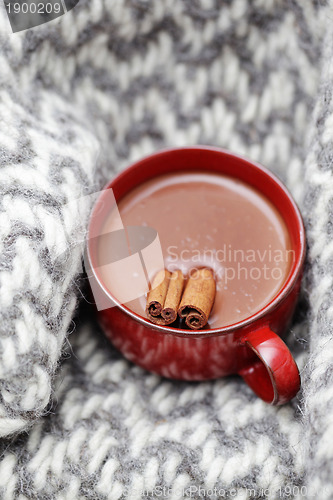 Image of hot chocolate with cinnamon