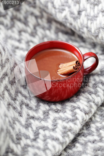 Image of hot chocolate with cinnamon