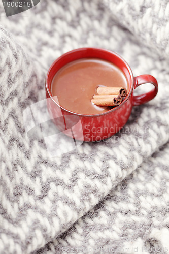 Image of hot chocolate with cinnamon