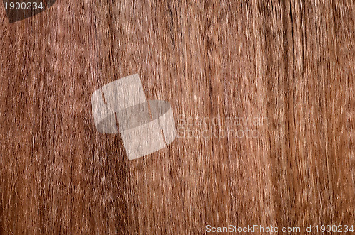 Image of hair background