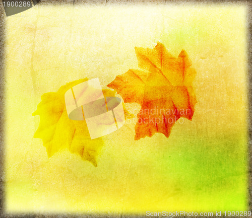 Image of Autumn Background