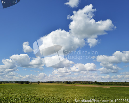 Image of Farmland And A Beautiful Sky