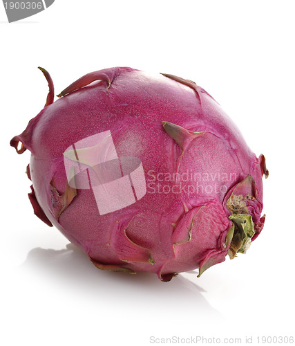 Image of Dragon Fruit 