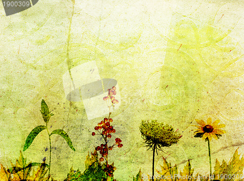 Image of Fall Background