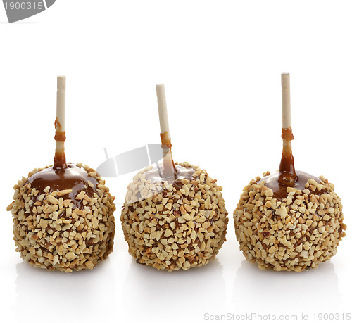 Image of Caramel Apples 