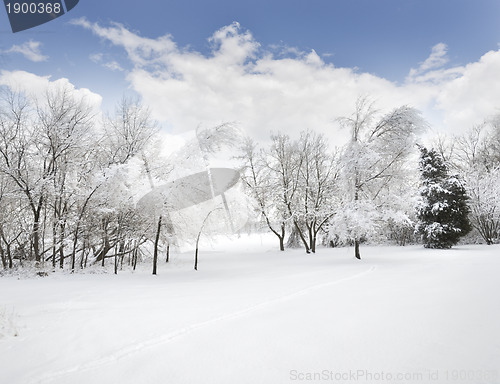 Image of Winter Landscape