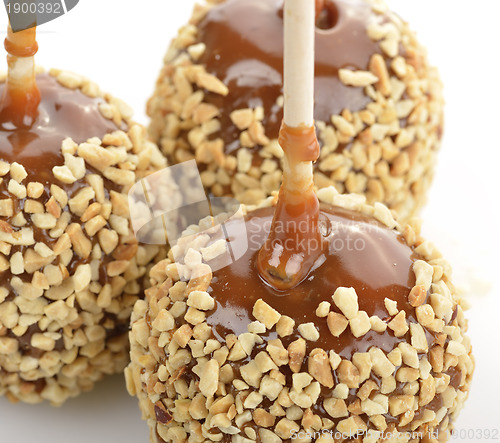 Image of Caramel Apples