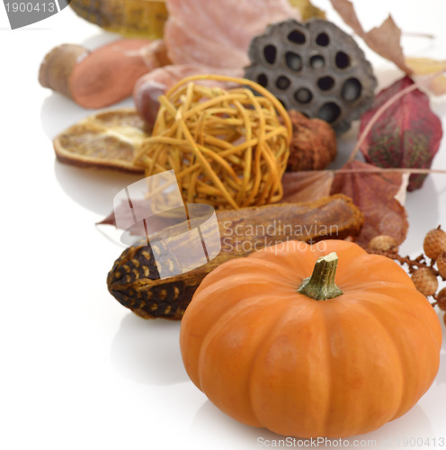 Image of Fall Background